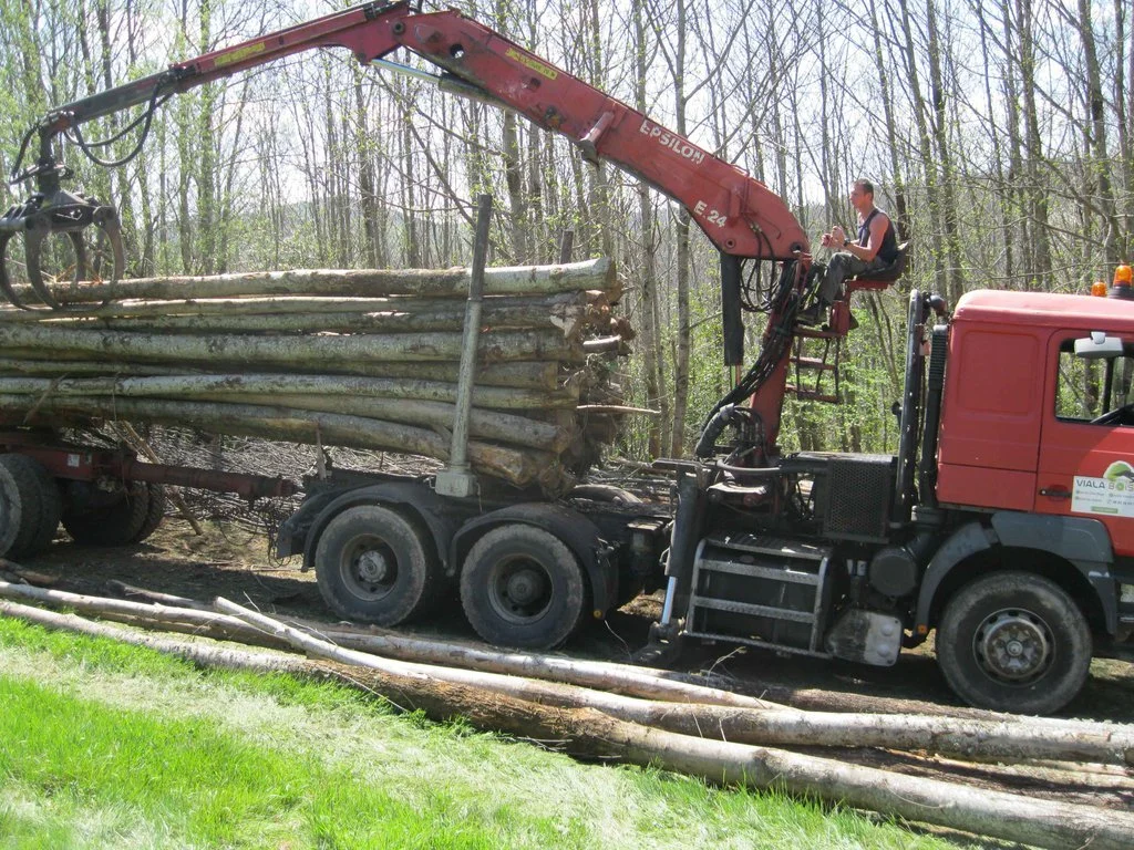 Camion de bois en grume – Châtaignier – 50 stères